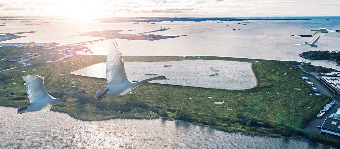 Fåglar som flyger över vadhavet i torsviken.